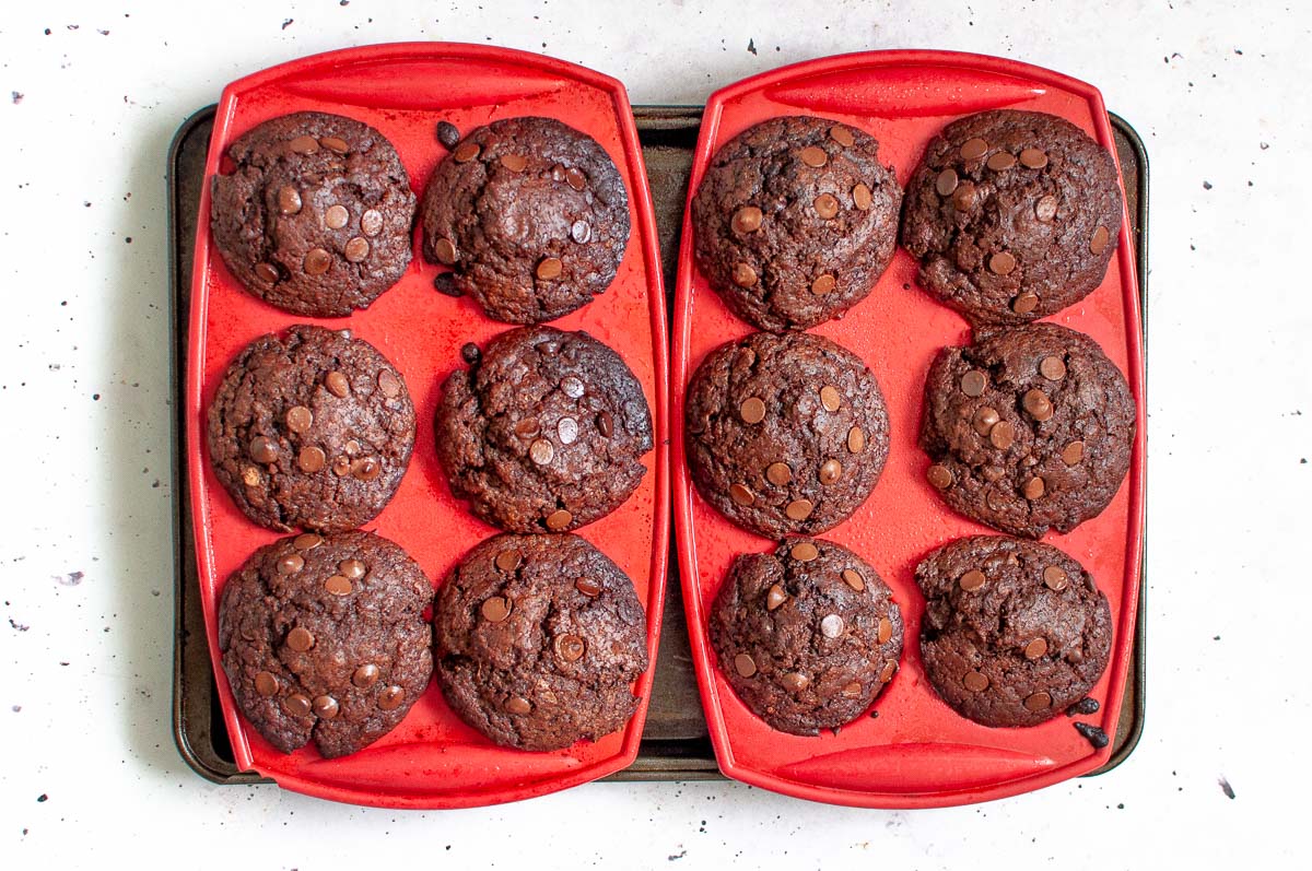 baked muffins fresh from the oven still in muffin tray