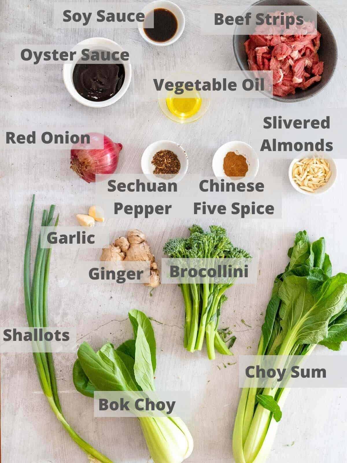 Ingredients for Szechuan beef strfry