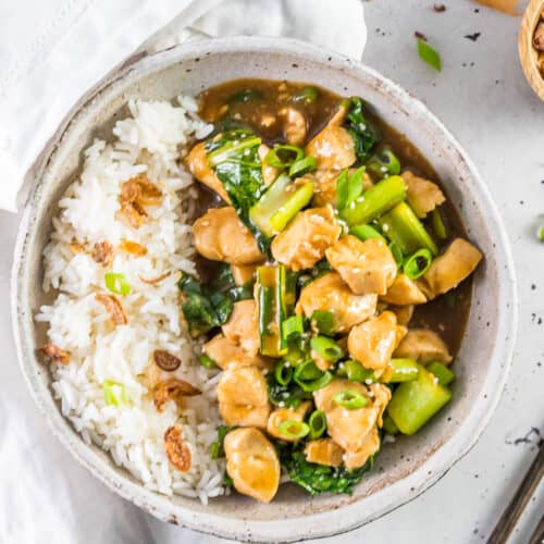 a bowl of chinese garlic chicken with rice