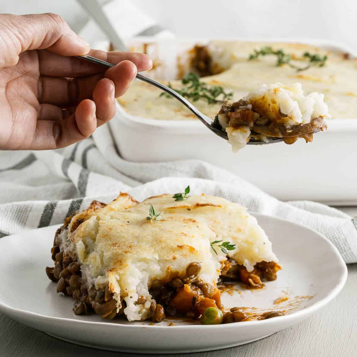a serving of lentil shepherds pie on a white plate