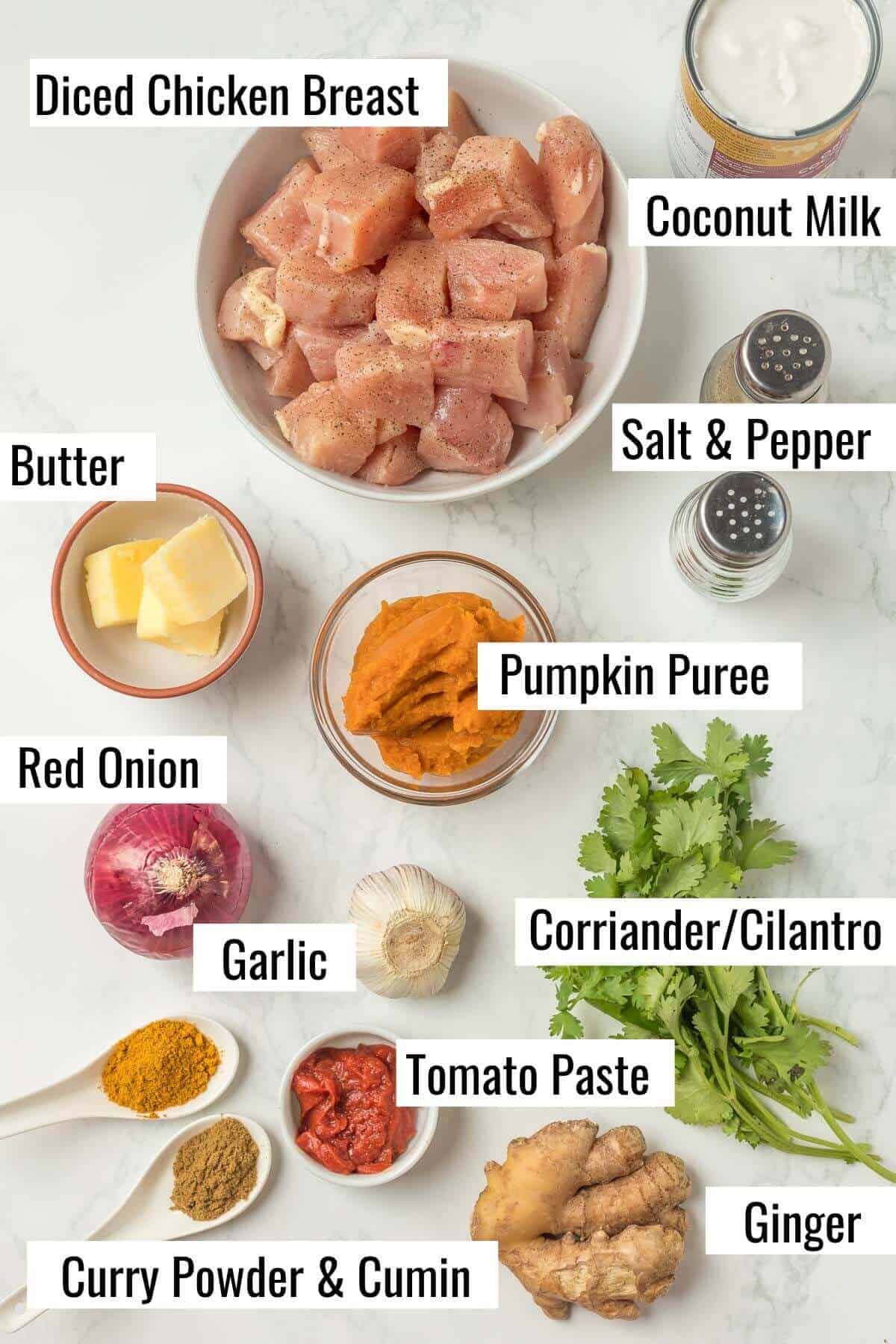 Curry chicken with curry powder ingredients