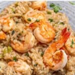 Prawn risotto pin