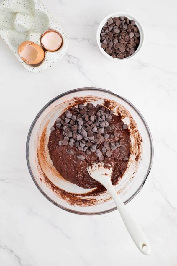 a bowl of chocolate cake batter with chocolate chips